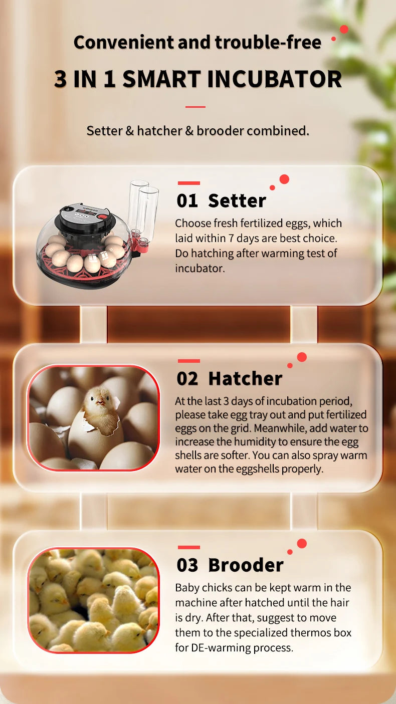12 Automatic Egg Incubators for Hatching Eggs With Smart Temperature Control, Auto Turner, LED Candling