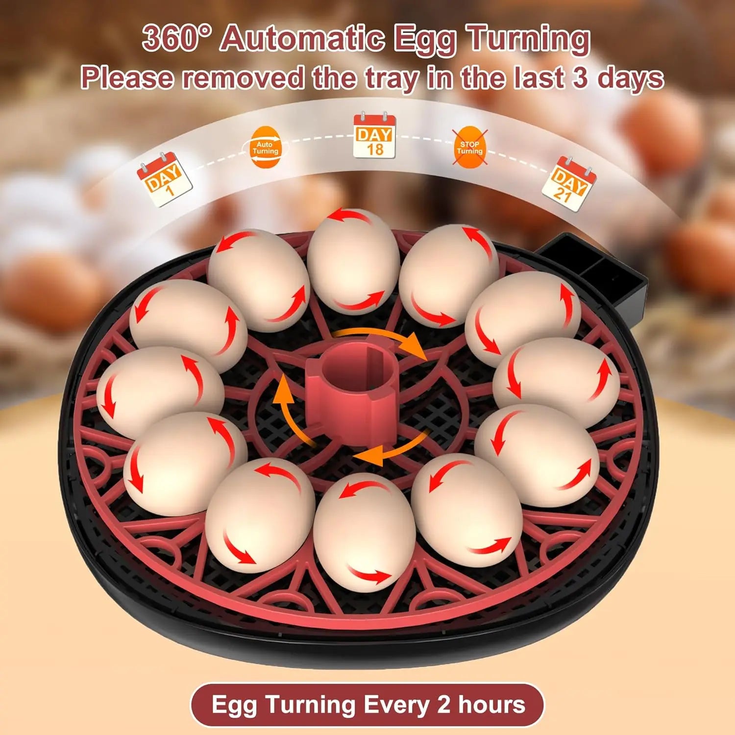 12 Automatic Egg Incubators for Hatching Eggs With Smart Temperature Control, Auto Turner, LED Candling
