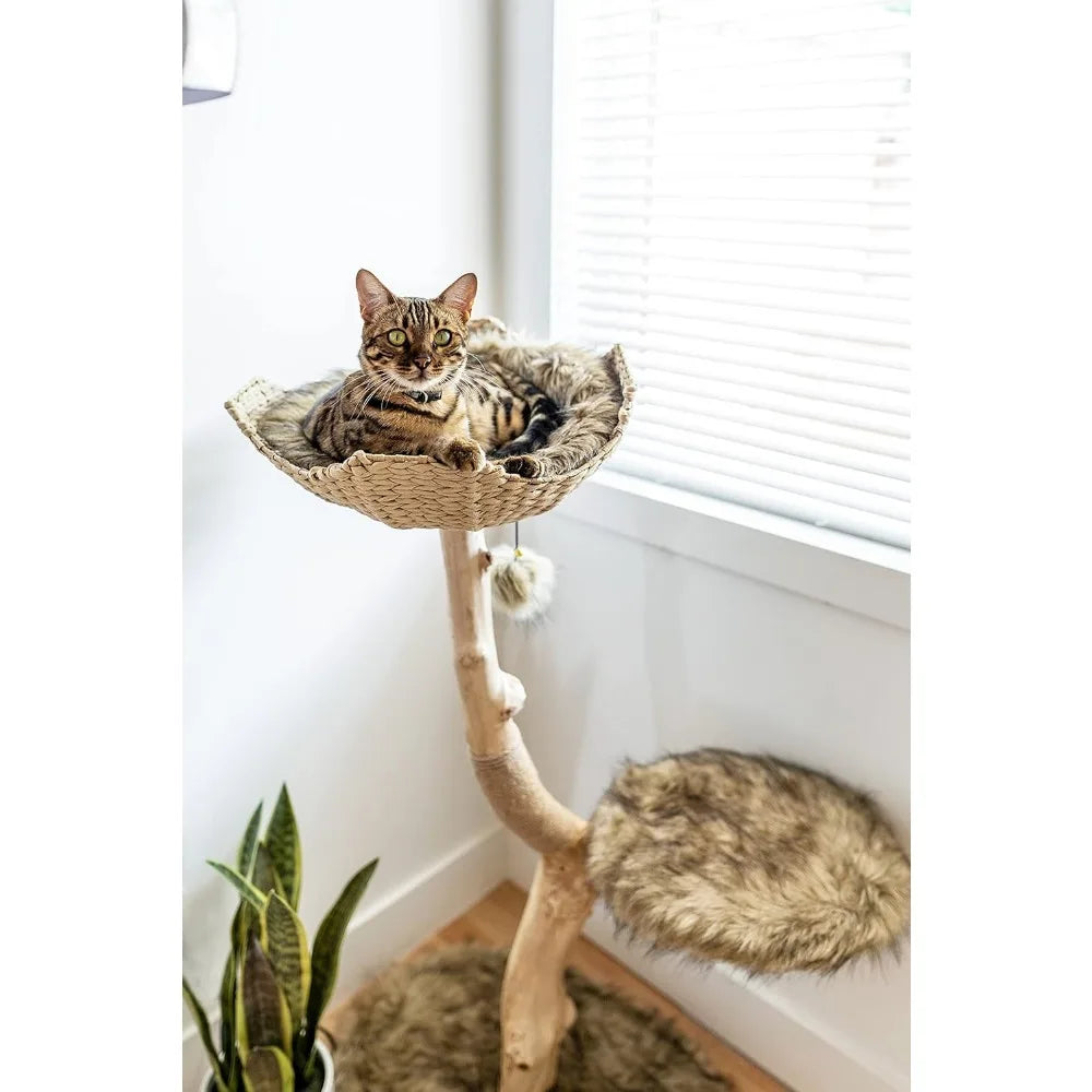 Wooden Cat Tree Tower, Modern Single Branch, Cat Climbing Furniture