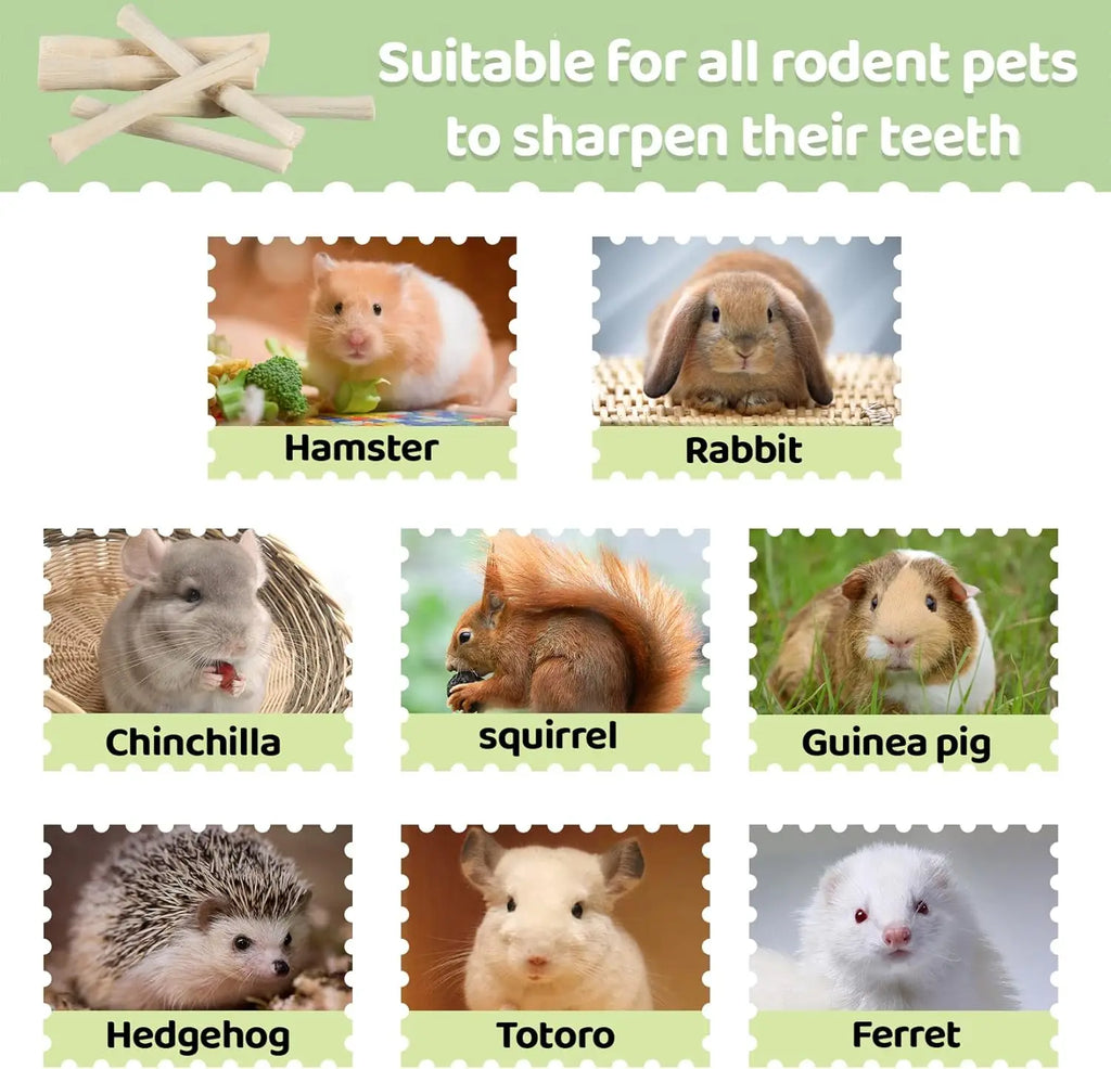 Natural Sweet Bamboo Chew Sticks Small Animal Dental Treats for Rabbits Guinea Pigs Chinchillas