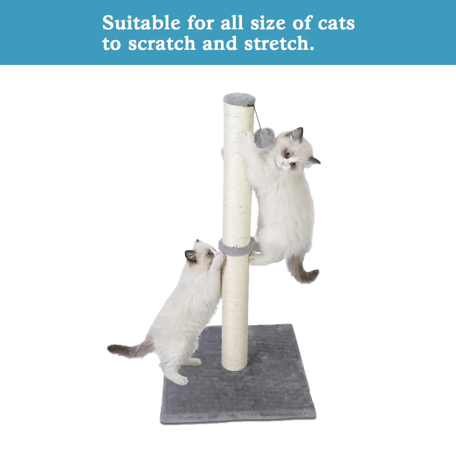 Tall Vertical Cat Scratching Posts For Indoor Cats And Kittens With Dangling Ball