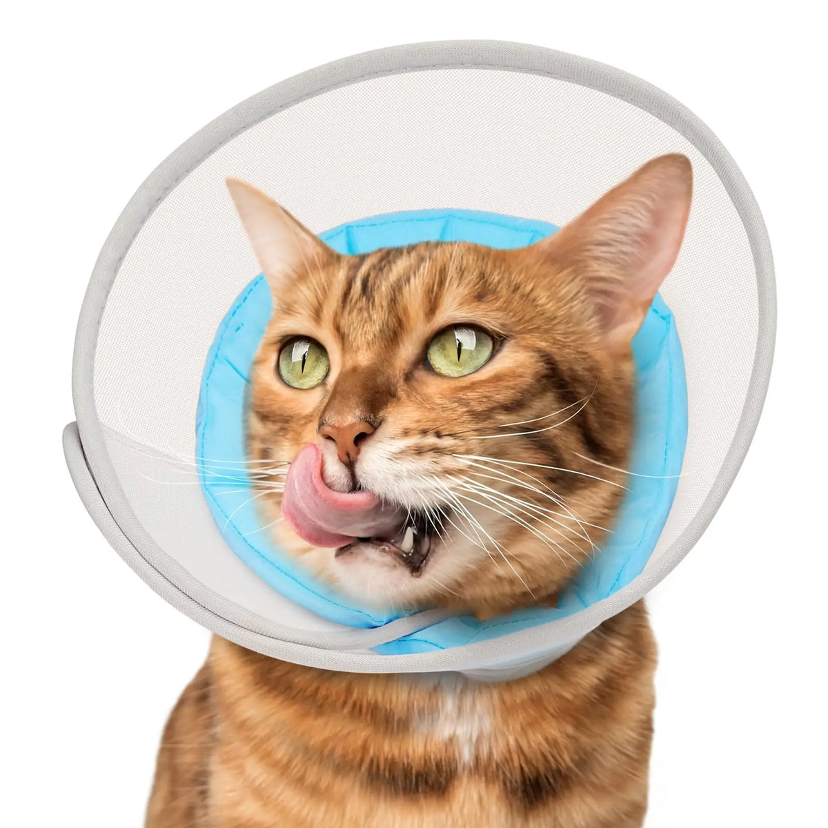 Cat Cone Collar Soft: Comfortable Waterproof Mesh Recovery Cone After Surgery to Stop Licking and Scratching