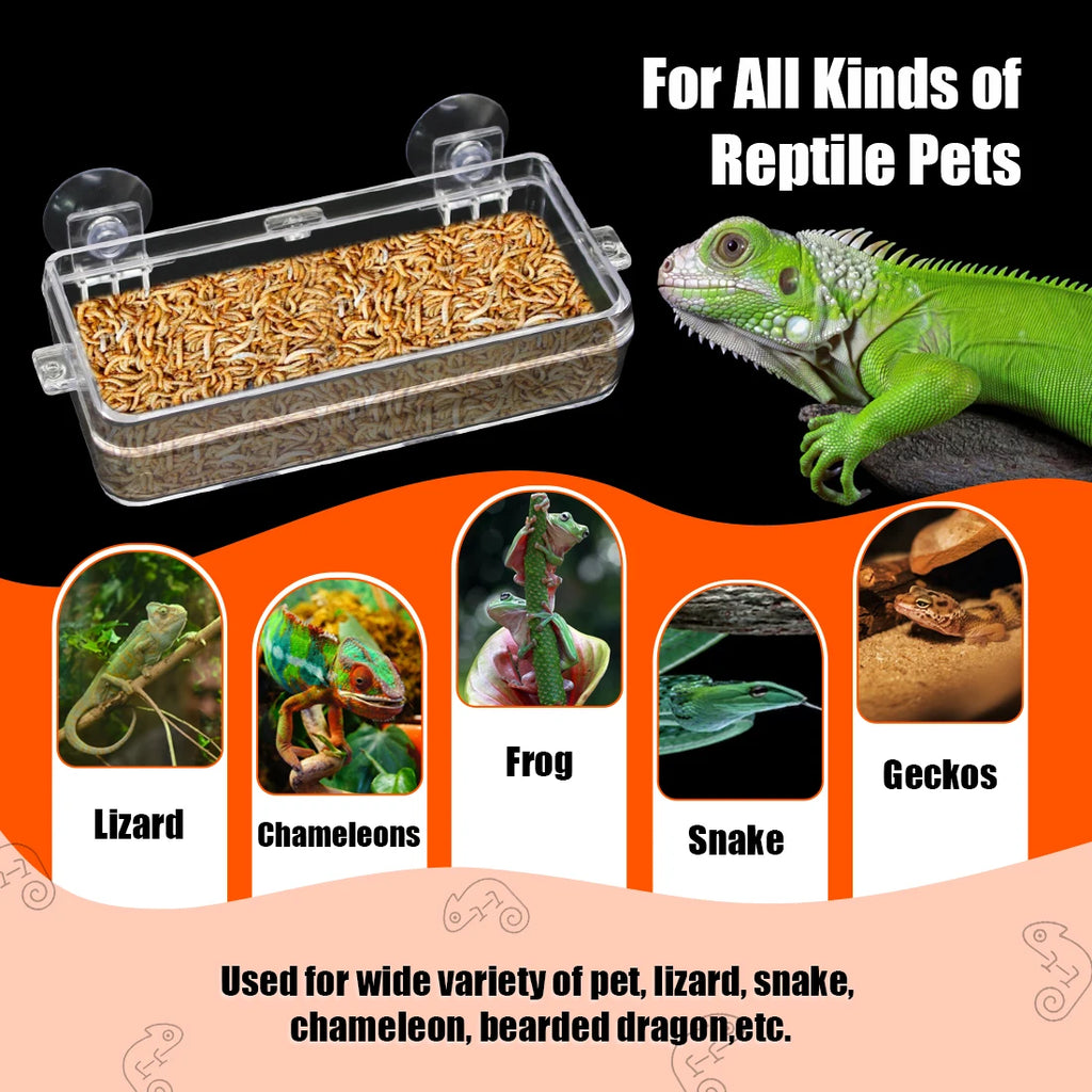 1/2PCS Reptile Feeder Bowl with Suction Cup Anti-Escape Food Dish for Chameleon Iguana Lizard Snakes Reptile Food Water Feeding