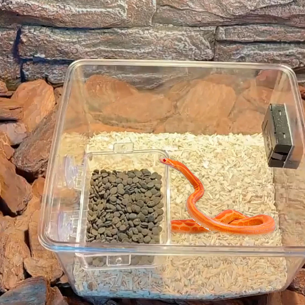 1/2PCS Reptile Feeder Bowl with Suction Cup Anti-Escape Food Dish for Chameleon Iguana Lizard Snakes Reptile Food Water Feeding