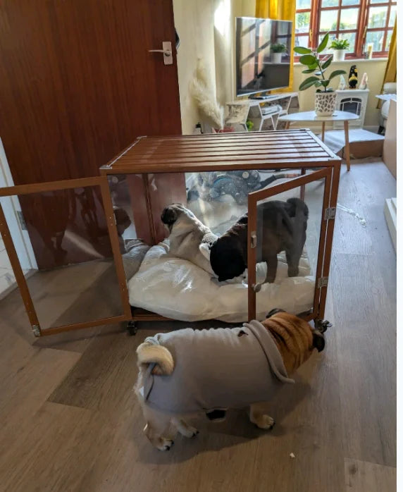 Transparent Pet Dog Crate Aluminum Frame Ideal for Indoor Outdoor Use Durable