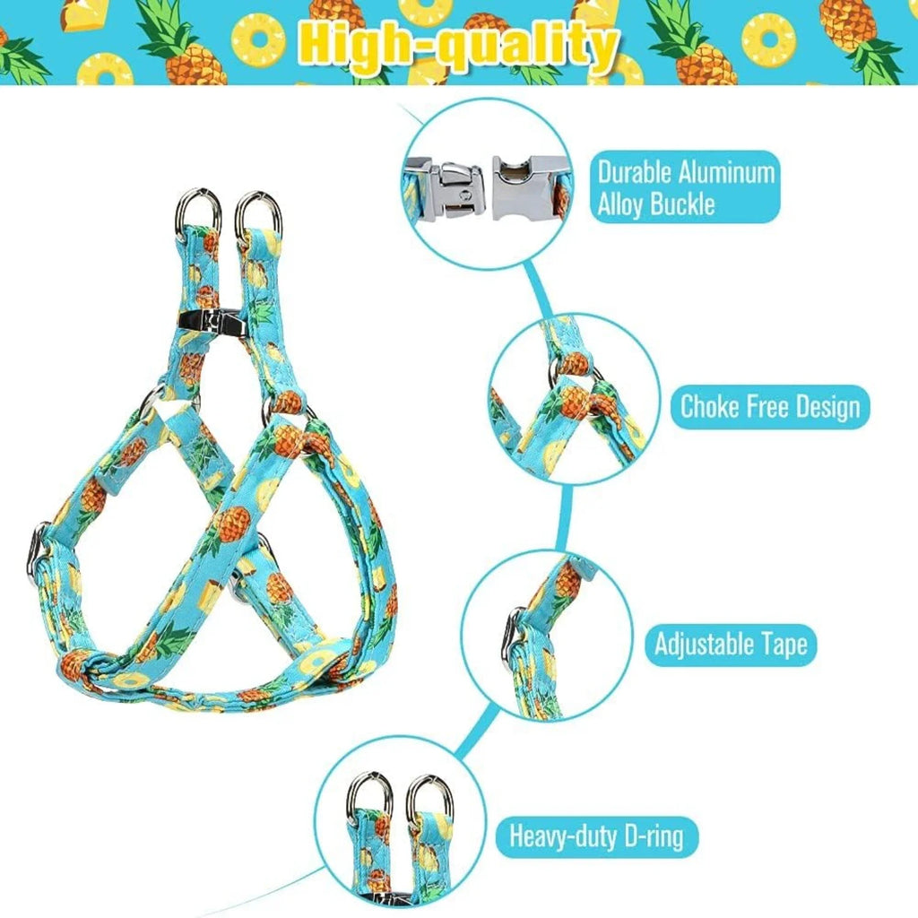 Medium Adjustable Heavy Duty No Pull Vest Harness and Leash Set