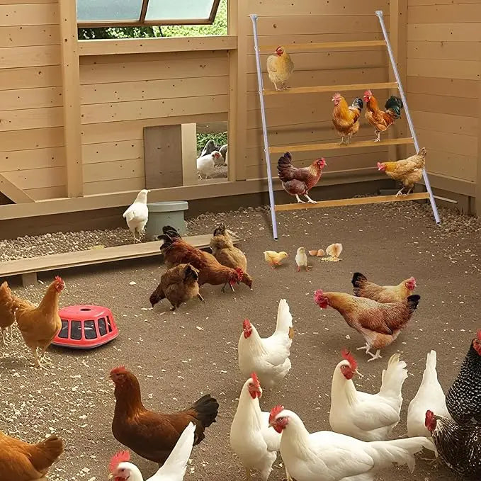 Chicken Perch with Ladder Design, Weatherproof Roosting Bars Swing Durable