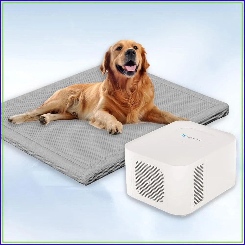 Self-Cooling Pet Mat for Dogs, No Gel or Refrigeration Needed, Machine Washable, XL Gray