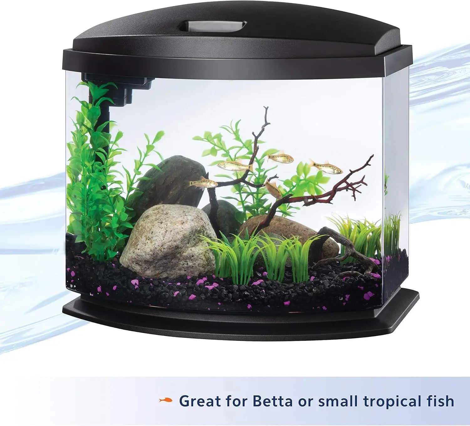 5 Gallon LED Mini Aquarium Fish Tank Kit with SmartClean Technology, Easy Setup for Beginners