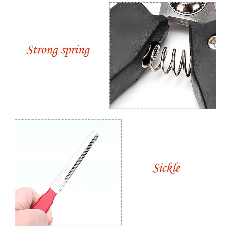 Multifunctional Stainless Steel Pet Nail Clippers with File