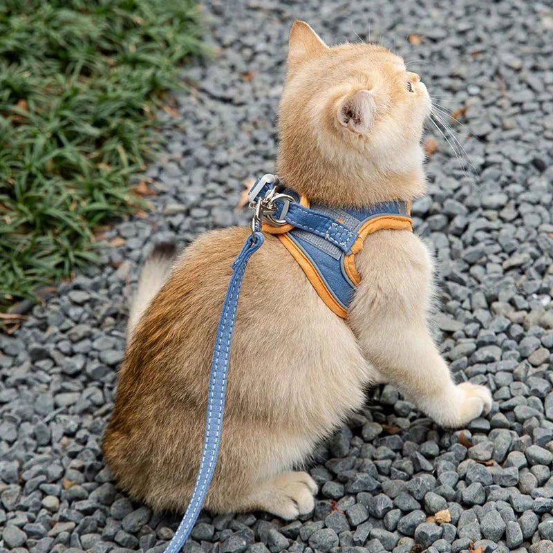 Cat Harness Leash Set Breathable With Reflective Strip