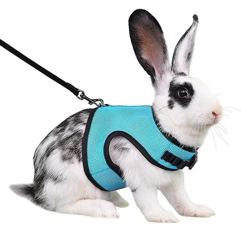 Breathable Stylish Vest Adjustable Soft Harness And Elastic Leash Set For Rabbits