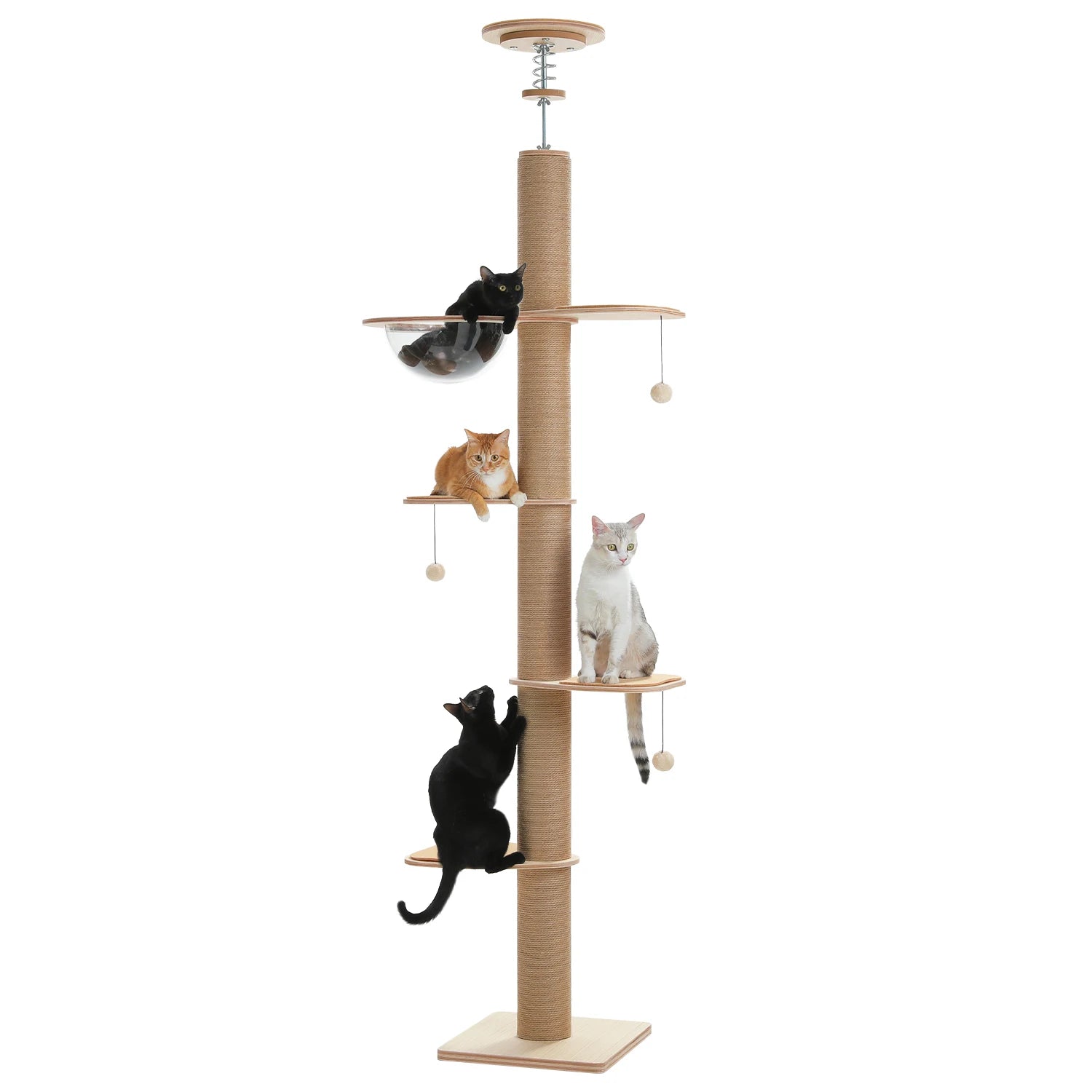 Floor to Ceiling Cat Tree for Indoor Cats Adjustable Height Wooden with Thick Scratching Posts Acrylic Cave