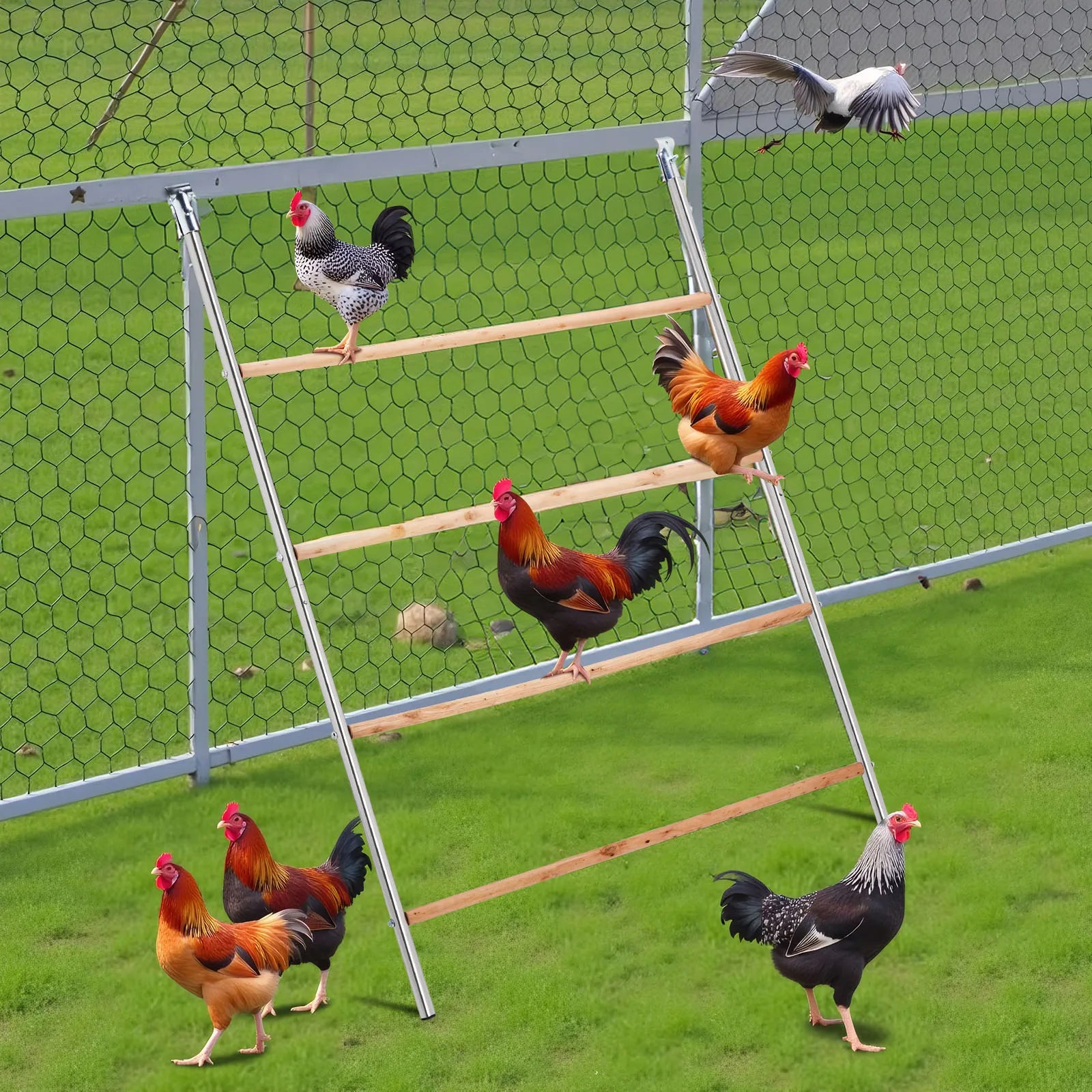 Outdoor Chicken Perch - Multi-Tiered Tower for Chickens, Round Design for Safety