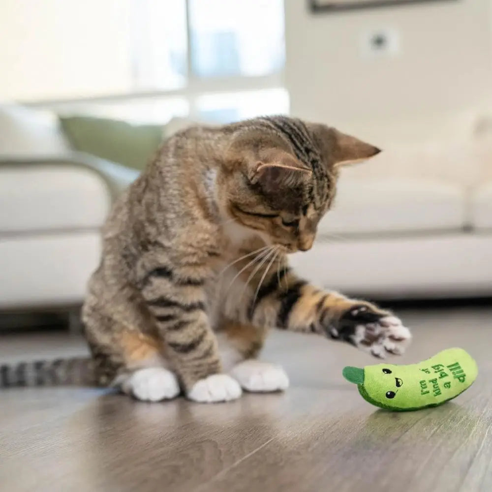 Crunchy Pickle Kicker Cat Toy – Plush Crinkle with Catnip and Dental Mesh, 6.5