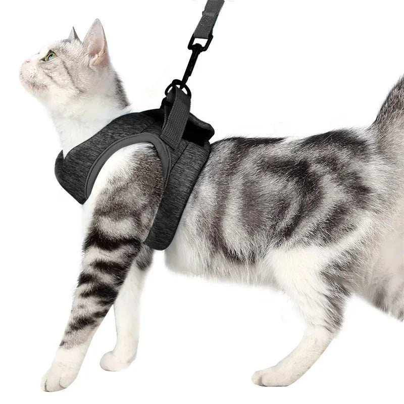 Adjustable Anti-Escape Cat Belt Harness Light Breathable Soft Pet Vest