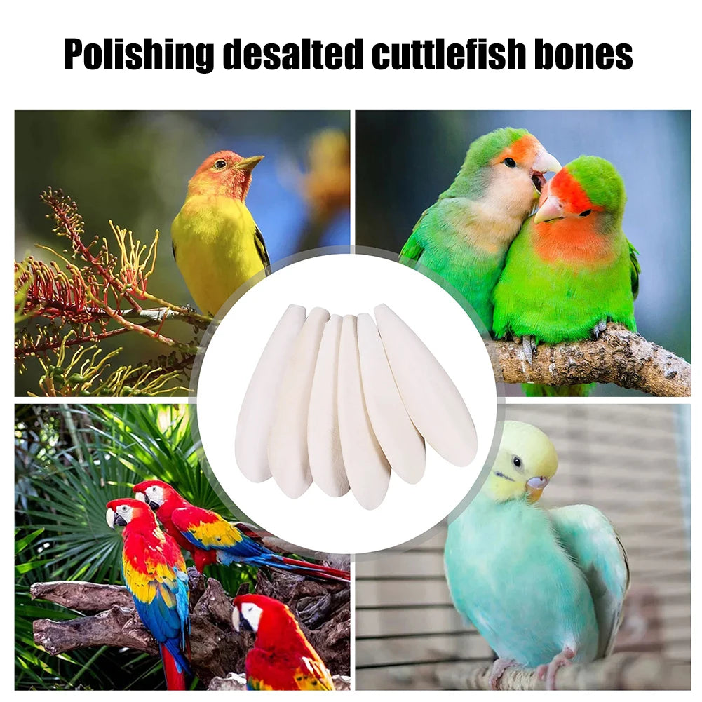 Cuttlefish Bone Chewing Toys Parrot Hamster Parakeet Molar Cuttlebone