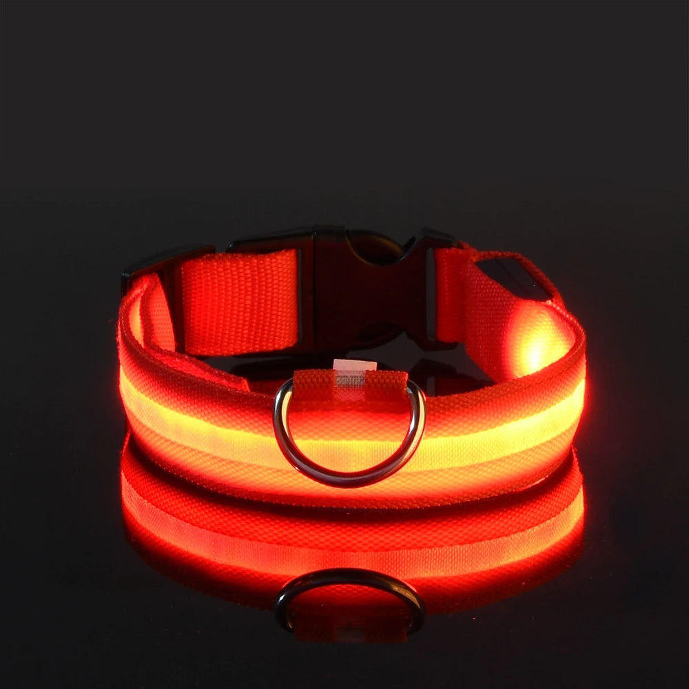 Nylon LED Night Safety Flashing Glow In The Dark Luminous Fluorescent Pet Dog Collar