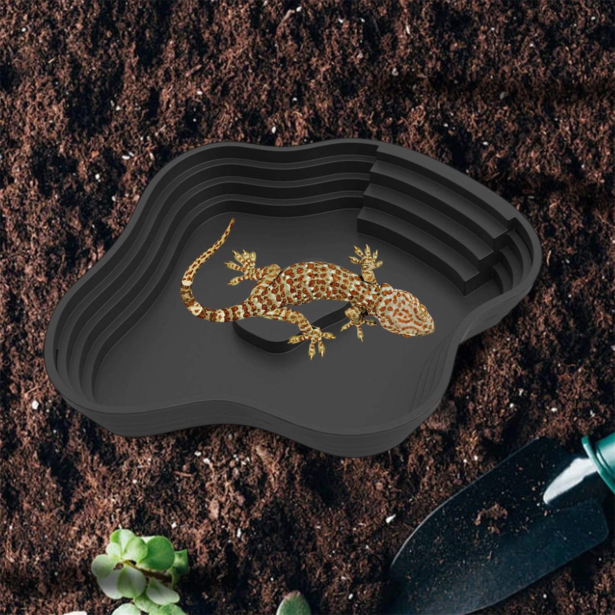 Reptile Habitat Decor Bathing Pool Feeding Dish Water Bowl for Gecko Snake Turtle Bearded Dragon Lizard