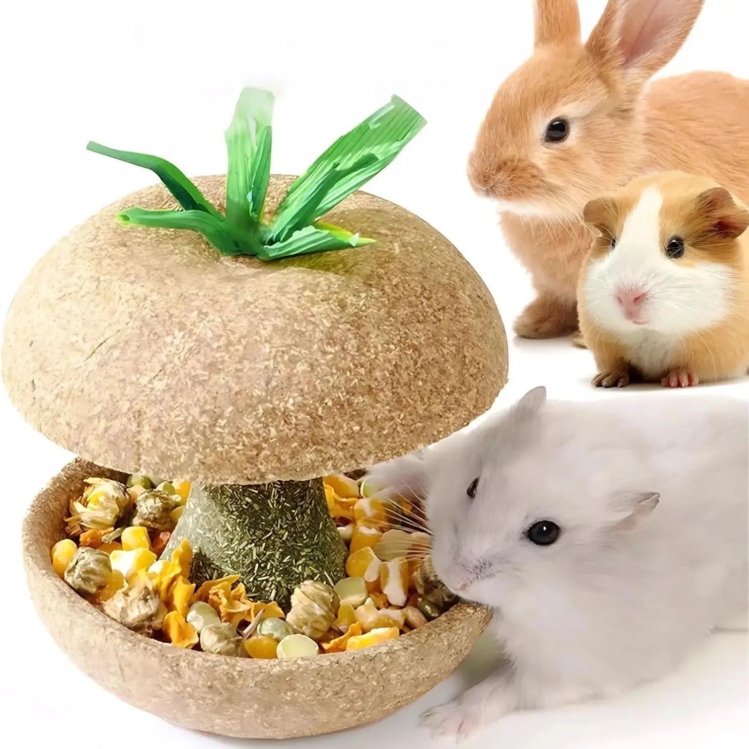 Apple Core Shaped Chew Toy - Natural Small Pet Dental Treat for Guinea Pig, Rabbit, Chinchilla, Rat