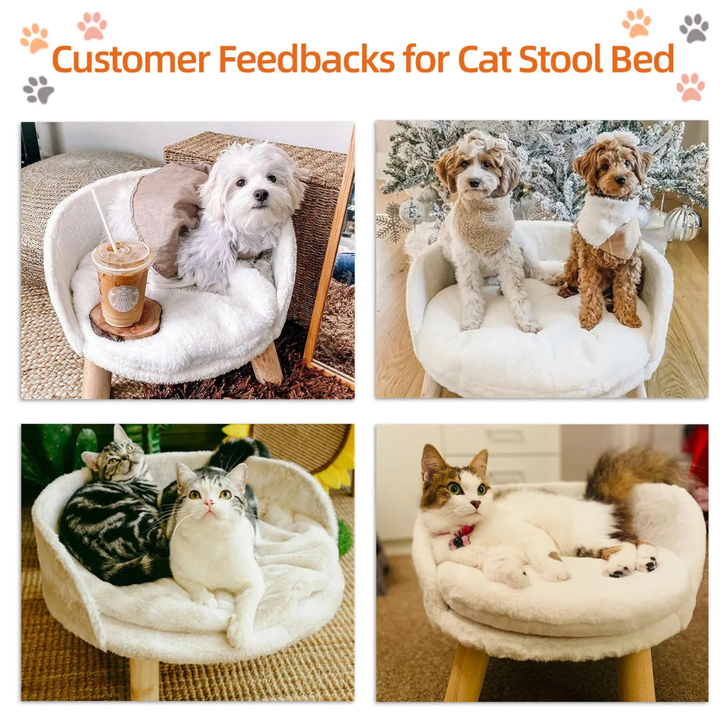 Pet Sofa Bed Raised Cat Chair Small Dog Couch Bed Removable Cushion