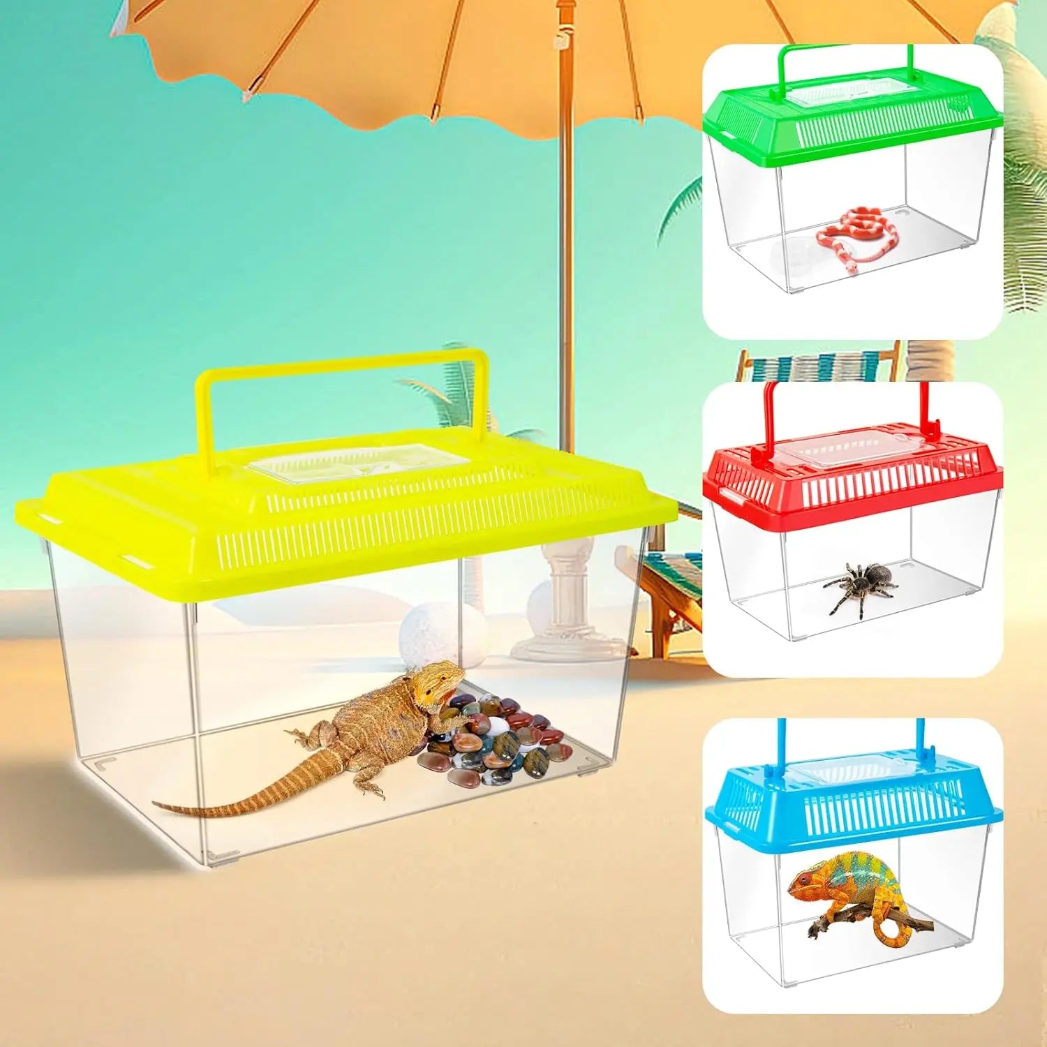 12Pcs Transparent Plastic Reptile Terrarium Carrier Cage, Snake Breeding Box Hatching Container