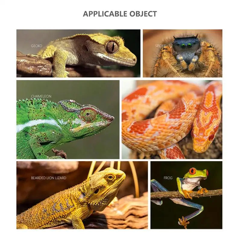 Reptile Wood Branches Resin Driftwood Climb Ornament Aquarium And Terrarium Decoration