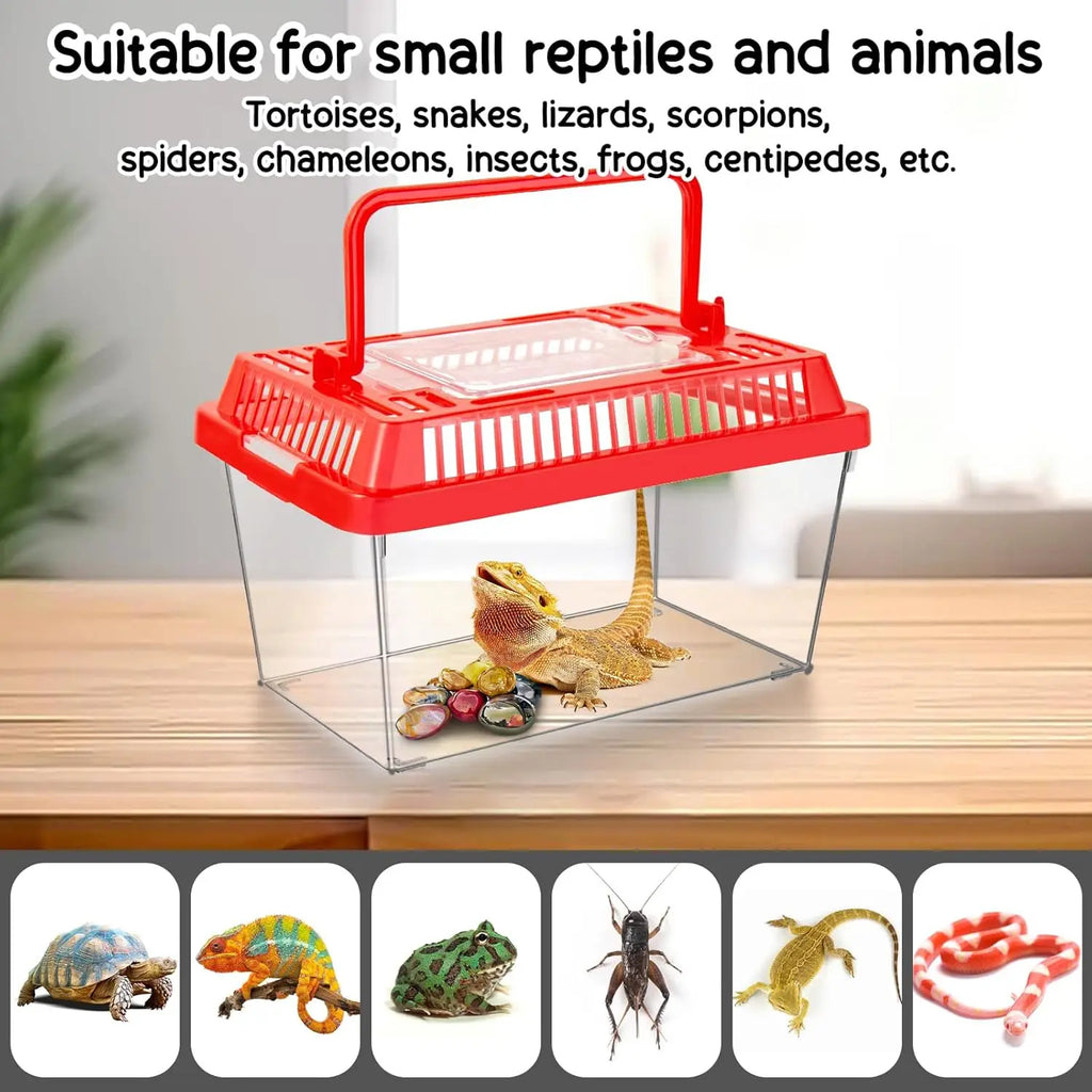 12Pcs Transparent Plastic Reptile Terrarium Carrier Cage, Snake Breeding Box Hatching Container