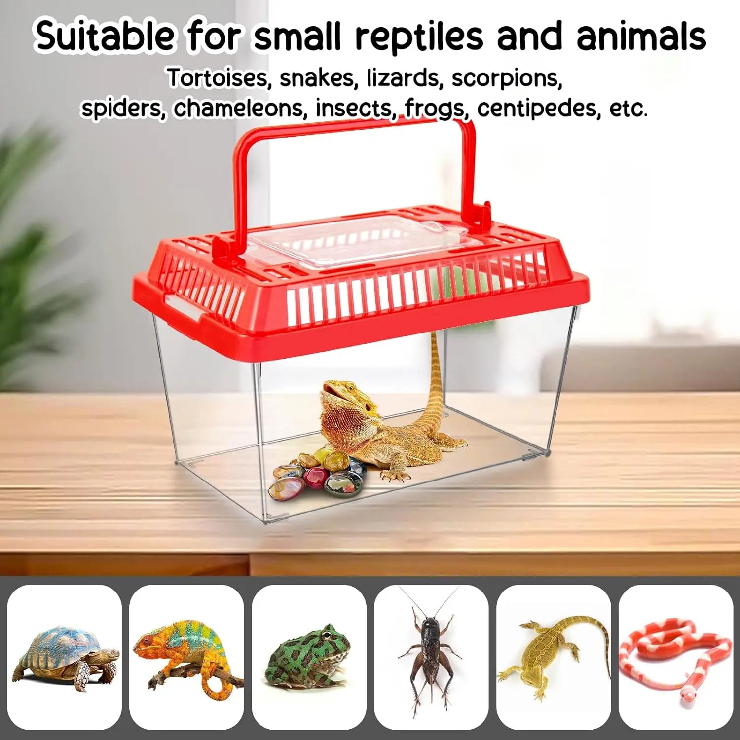 12Pcs Transparent Plastic Reptile Terrarium Carrier Cage, Snake Breeding Box Hatching Container