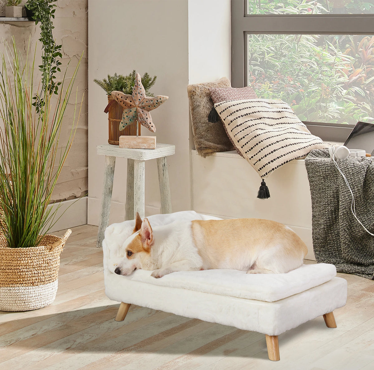 Elevated Pet Bed, Pet Stool Bed with Cozy Pad Waterproof, Pet Sofa Bed with Sturdy Wood Legs for Small Dog Cat