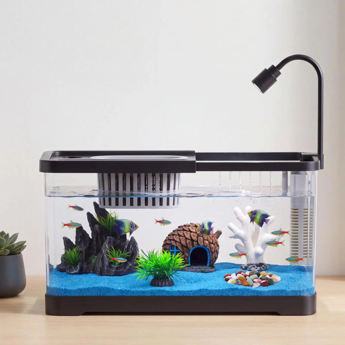Fish Tank Starter Kit With Filter And Light Plastic Fish Tank For Goldfish Shrimp Betta Hermit Crab