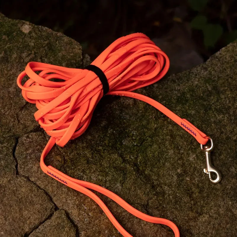 Dog Waterproof Leash 5ft, 10ft, 20ft, 30ft Beach Swimming Training, Medium and Large Dogs