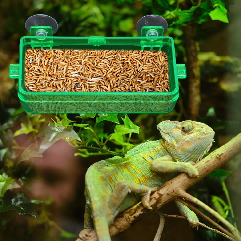 1/2PCS Reptile Feeder Bowl with Suction Cup Anti-Escape Food Dish for Chameleon Iguana Lizard Snakes Reptile Food Water Feeding