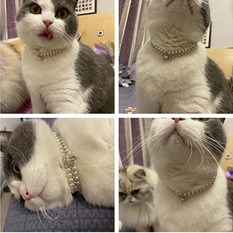Luxury Cat Pearl Necklace Rhinestone Collar for Cats