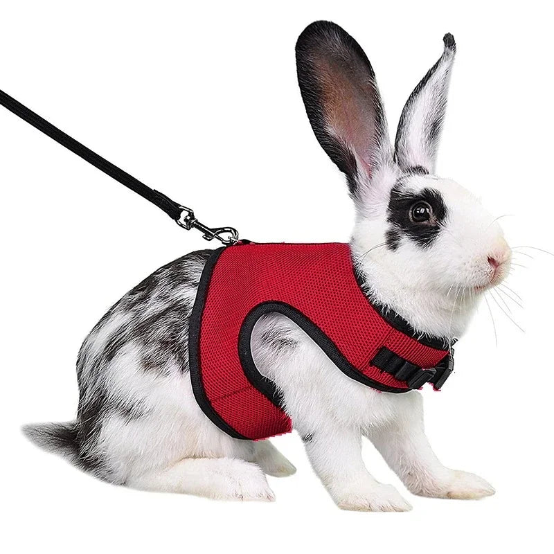 Breathable Stylish Vest Adjustable Soft Harness And Elastic Leash Set For Rabbits