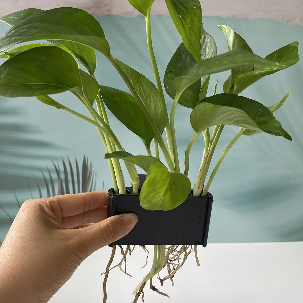 1-3Pcs Aquarium Plant Support Basket Plant Cultivation Rack with Integrated Hook Decor