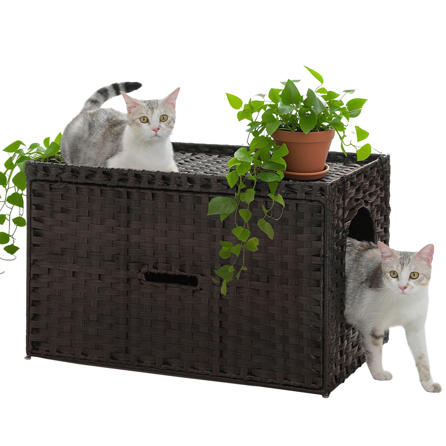 Rattan Cat Litter Box Enclosure Furniture with Door, Handwoven Rattan Hidden Litter Box