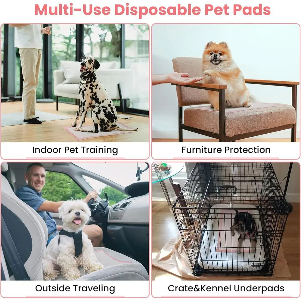 Pet Toilet Training Pads 100 Count Disposable Pee Pads 18 x 13, Ultra Absorbent, Quick Dry and Leak-Proof