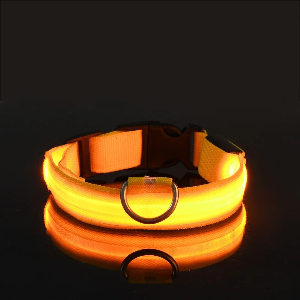 Nylon LED Night Safety Flashing Glow In The Dark Luminous Fluorescent Pet Dog Collar