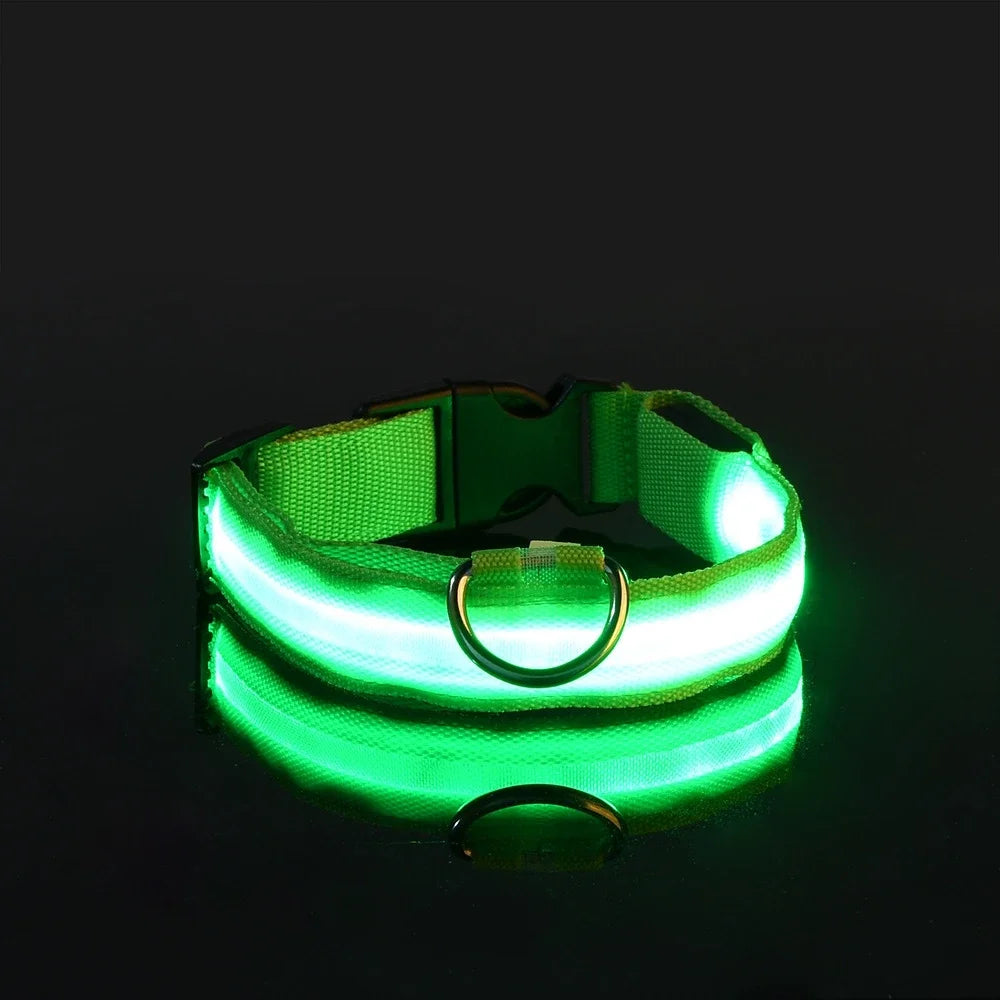 Nylon LED Night Safety Flashing Glow In The Dark Luminous Fluorescent Pet Dog Collar