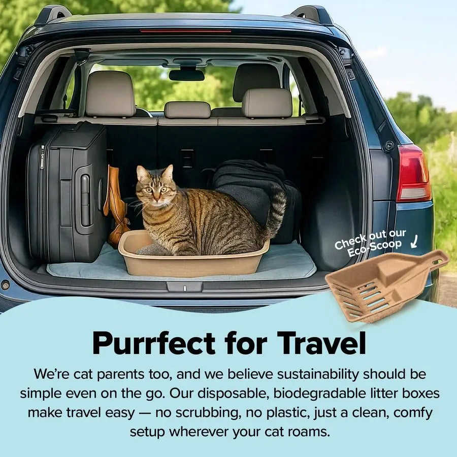 Set of 2 Litter Boxes 1 Sifting Liner Disposable Sifting Cat Litter Box Jumbo, 3 Count, Durable and Portable for Travel