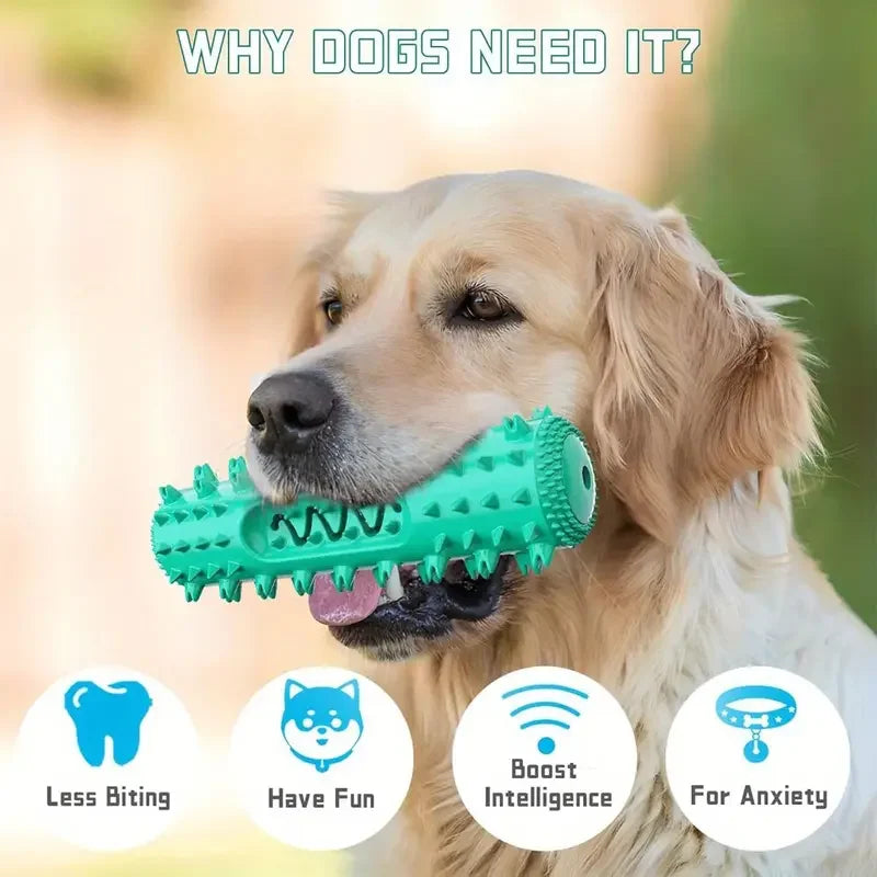 Vet-Approved Dental Chew Stick - 3-in-1 Cooling Toothbrush Toy for Small/Medium Dogs, Summer Teeth Cleaning & Gum Massage