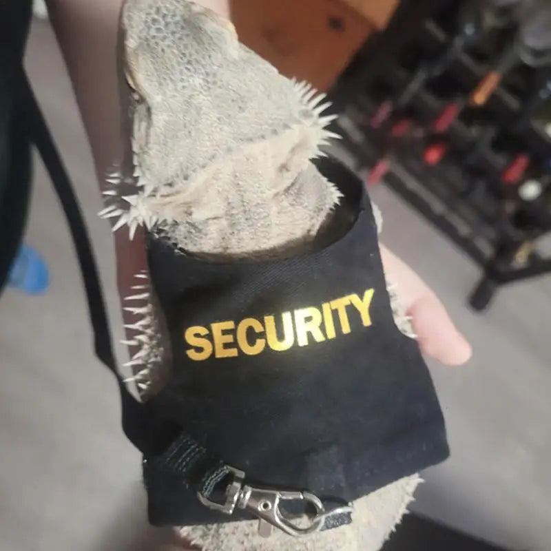 Reptile Lizard Gecko Bearded Dragon Harness and Leash Comfortable
