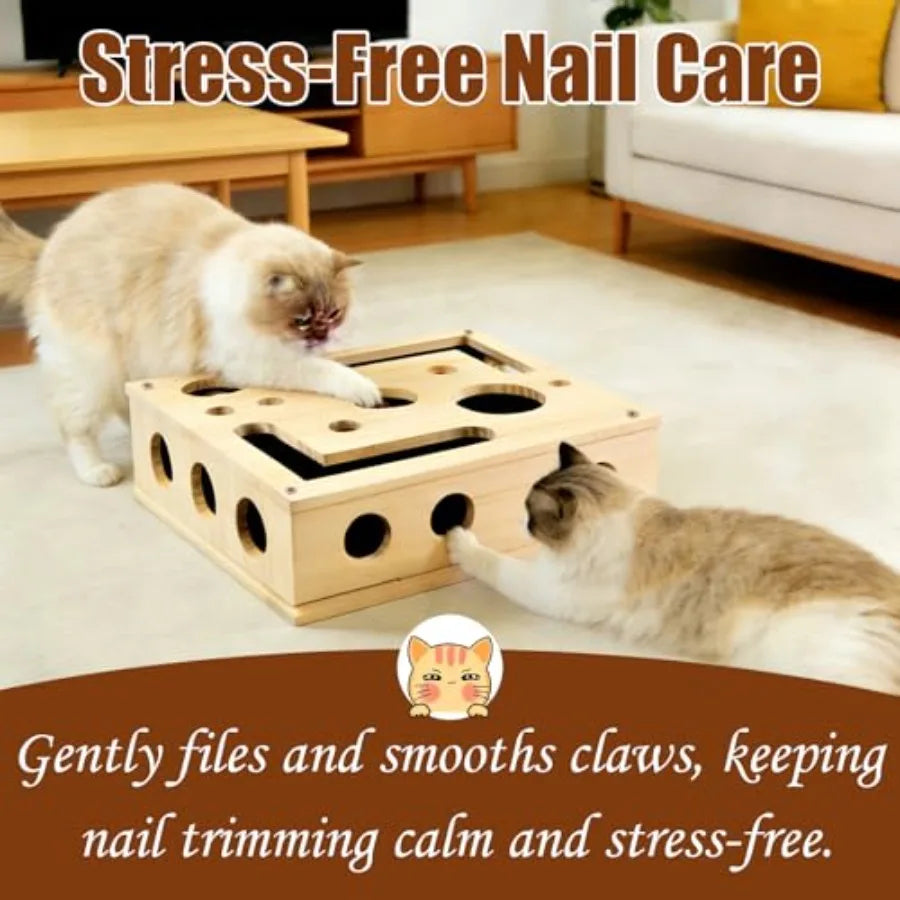 Reinforced Cat Nail File Scratcher Box Enrichment Puzzle Toy for Indoor Cats Sandpaper Claw Care