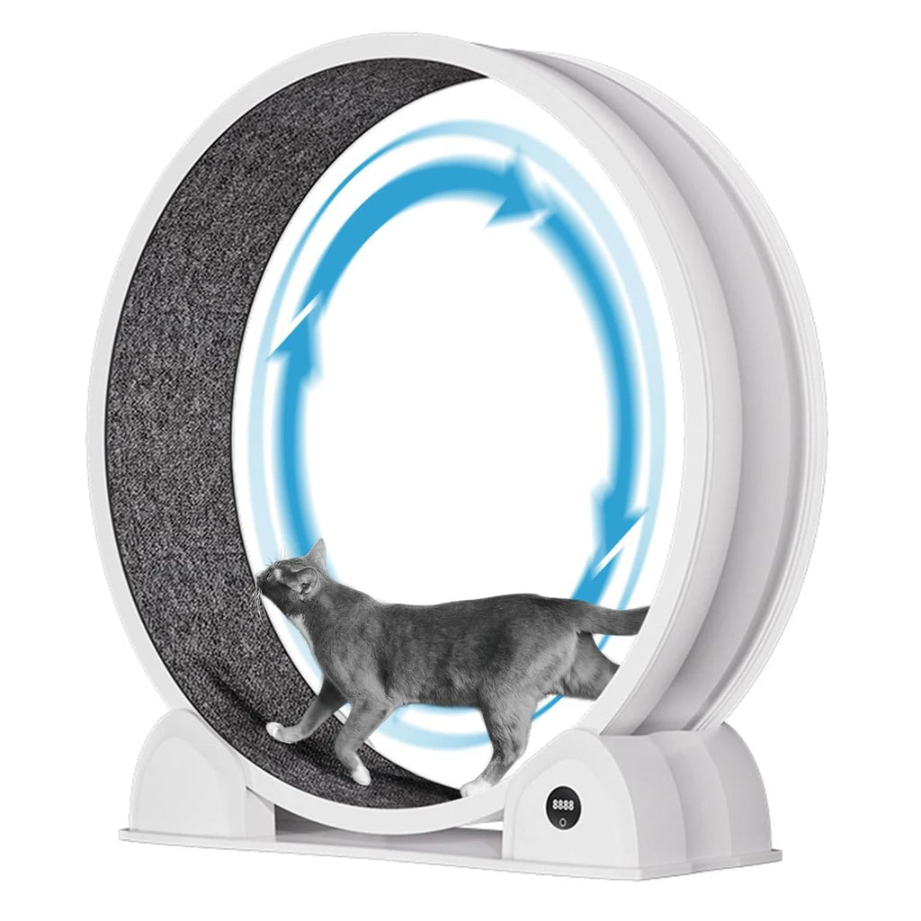 Cat Exercise Wheel for Indoor Cats, Quiet Cats Treadmill with Pedometer, Small Animal Running Wheels