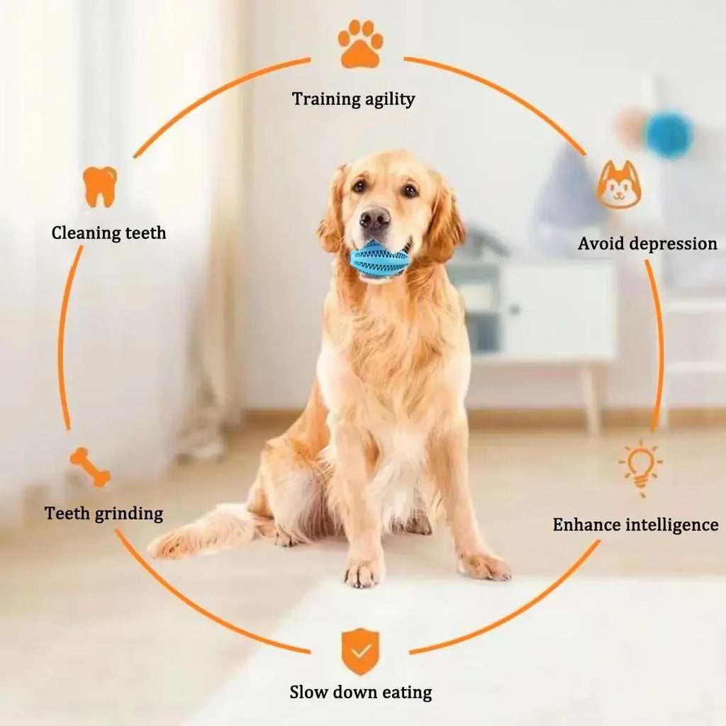 Pet Dog Chew Toys Teeth Cleaning Snack Ball Natural Rubber Super Tough Interactive Bouncy