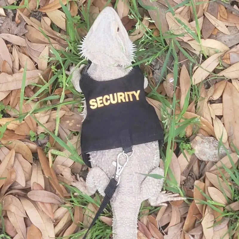 Reptile Lizard Gecko Bearded Dragon Harness and Leash Comfortable