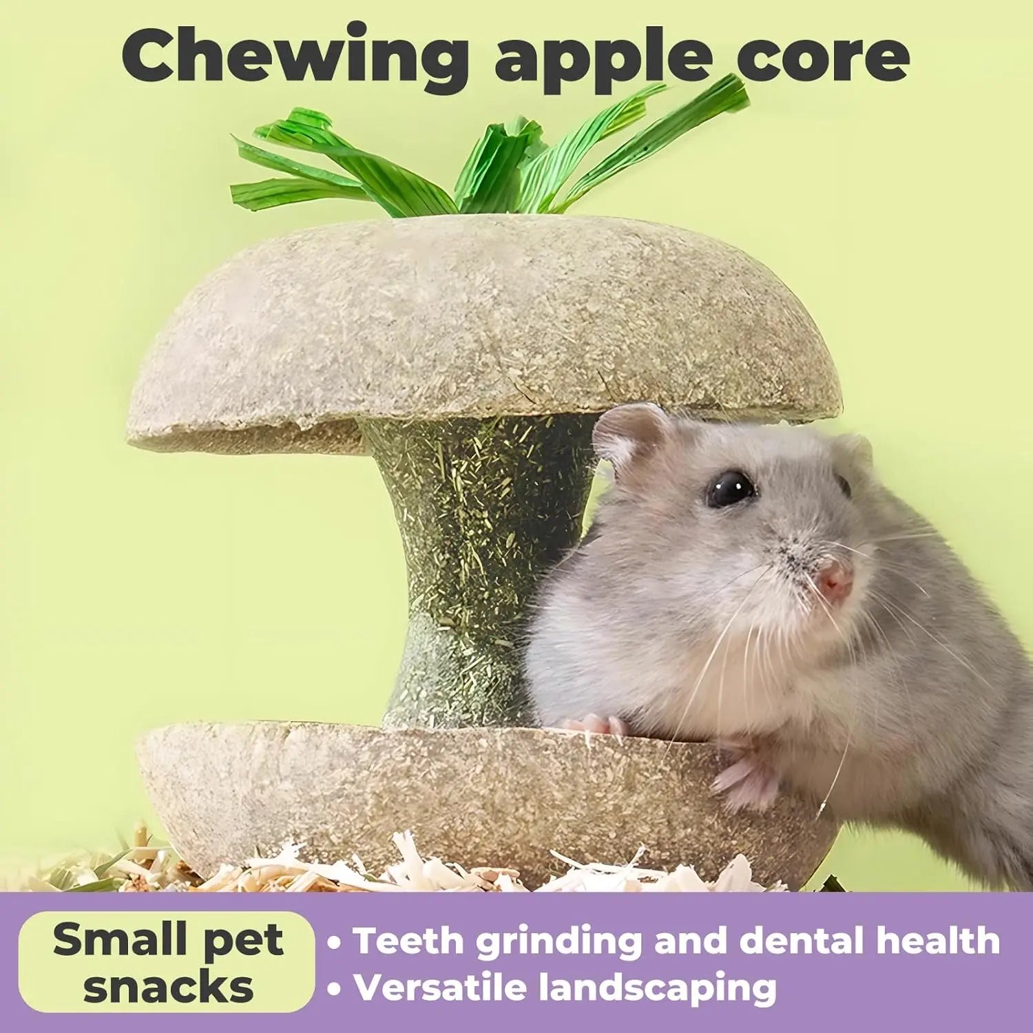Apple Core Shaped Chew Toy - Natural Small Pet Dental Treat for Guinea Pig, Rabbit, Chinchilla, Rat