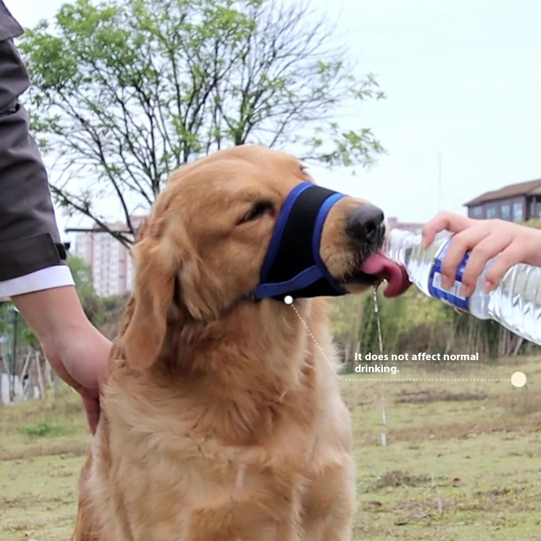 Comfortable Breathable Adjustable Dog Muzzle Anti-Bite Anti-Eating Pet Muzzle for Small Medium Large Dogs Allows Drinking