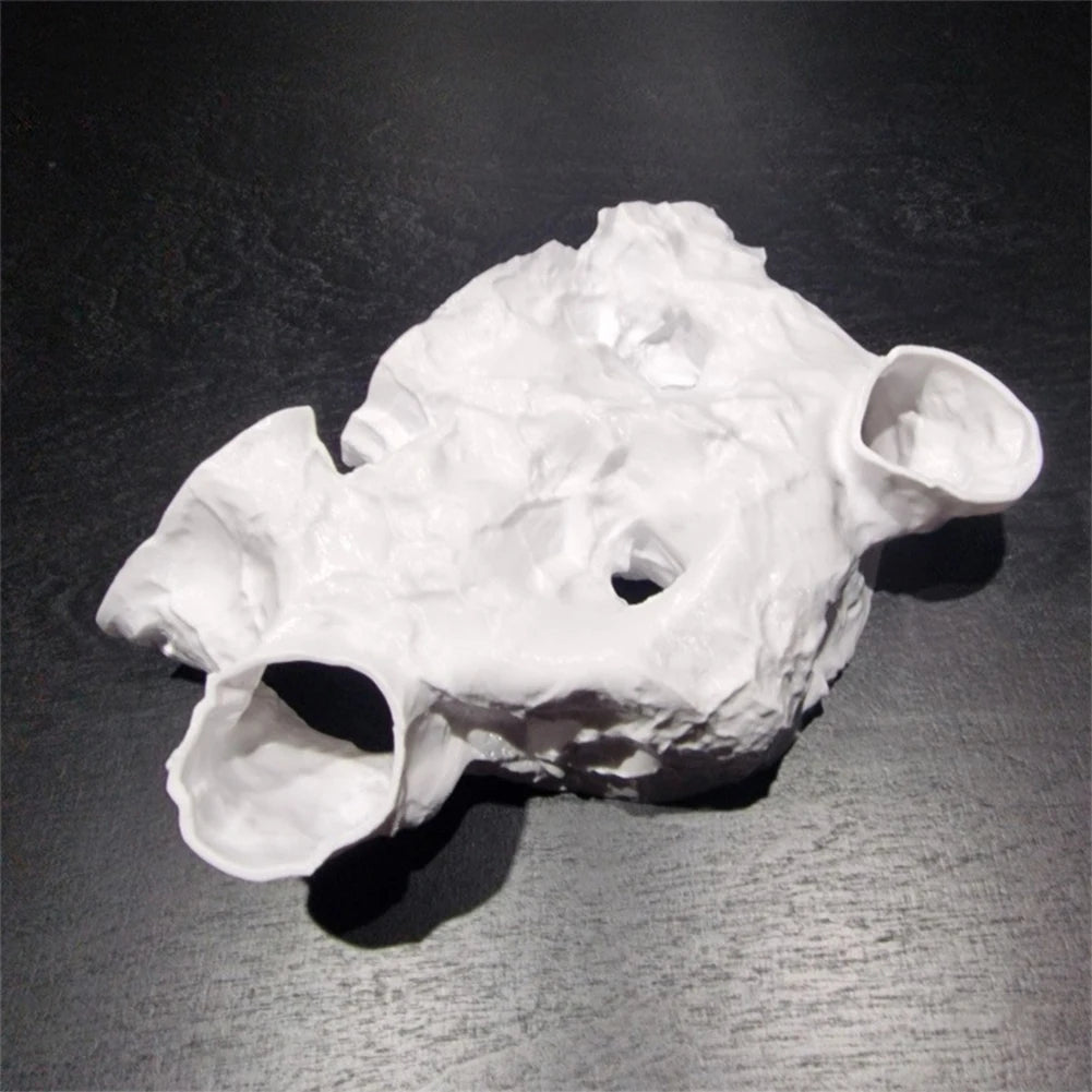 3D Printed Aquarium Underground Tunnel Cave Natural Curve Bowl Hide Shelter Fish Tank